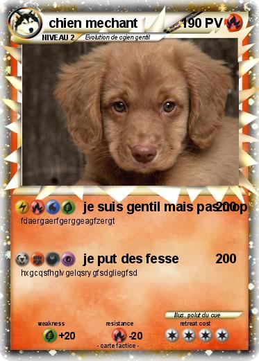 Pokemon chien mechant