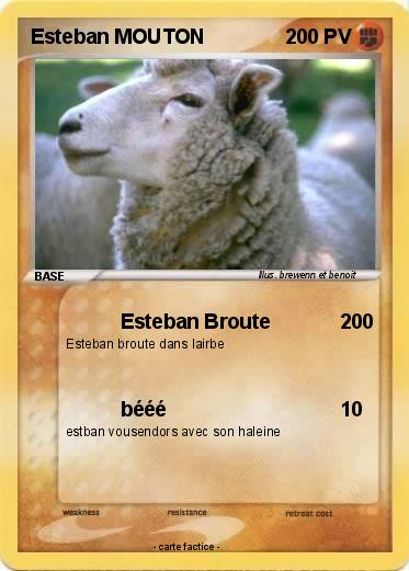 Pokemon Esteban MOUTON