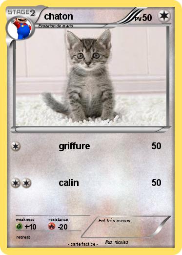 Pokemon chaton