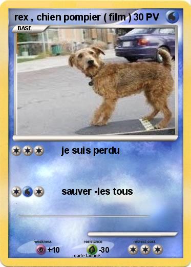 Pokemon rex , chien pompier ( film )
