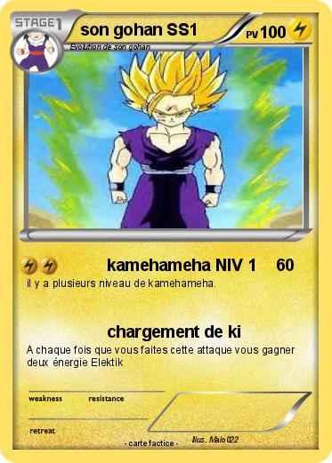 Pokemon son gohan SS1