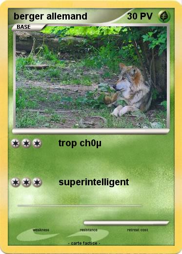 Pokemon berger allemand