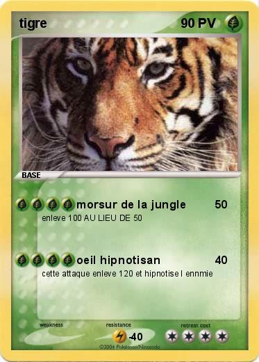 Pokemon tigre