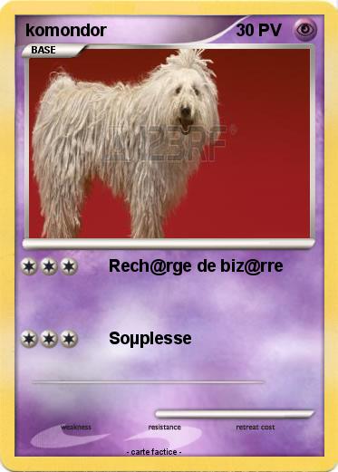 Pokemon komondor