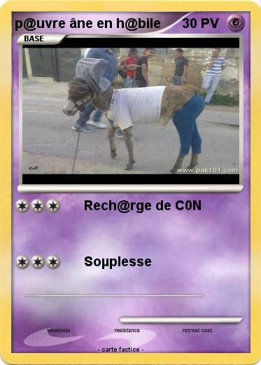 Pokemon p@uvre âne en h@bile