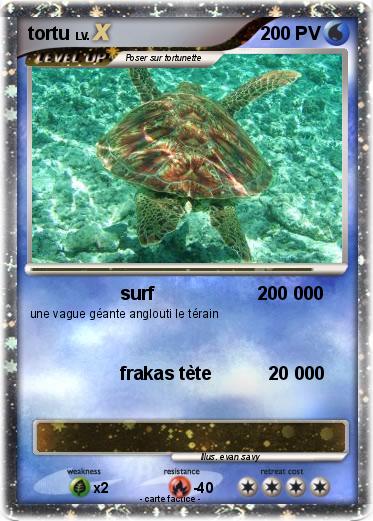 Pokemon tortu