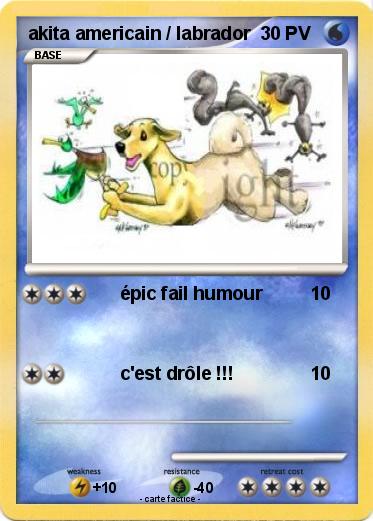Pokemon akita americain / labrador