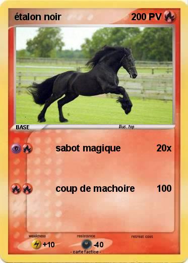 Pokemon étalon noir