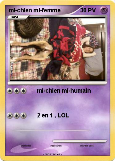Pokemon mi-chien mi-femme