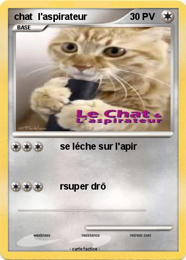 Pokemon chat  l'aspirateur