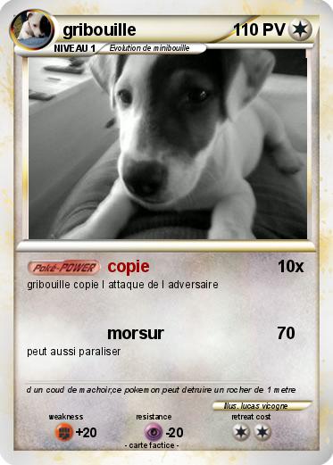 Pokemon gribouille