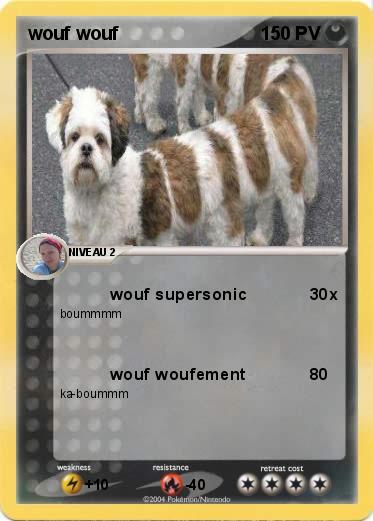 Pokemon wouf wouf
