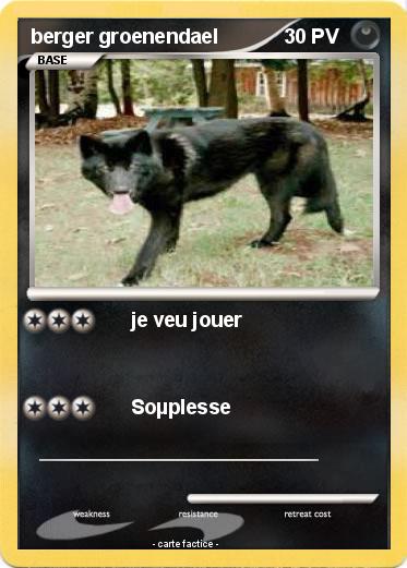 Pokemon berger groenendael