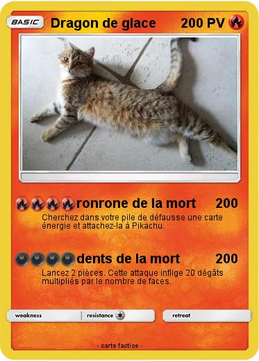 Pokemon Dragon de glace