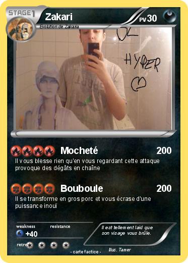 Pokemon Zakari