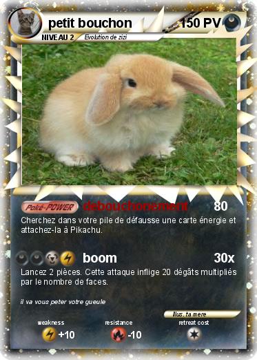 Pokemon petit bouchon