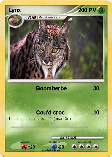 Pokemon Lynx