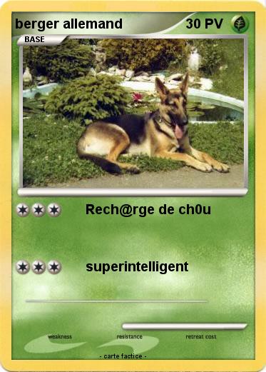Pokemon berger allemand