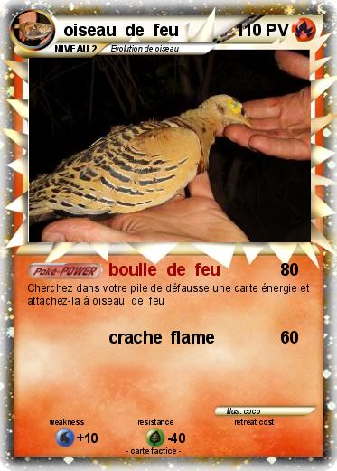 Pokemon oiseau  de  feu