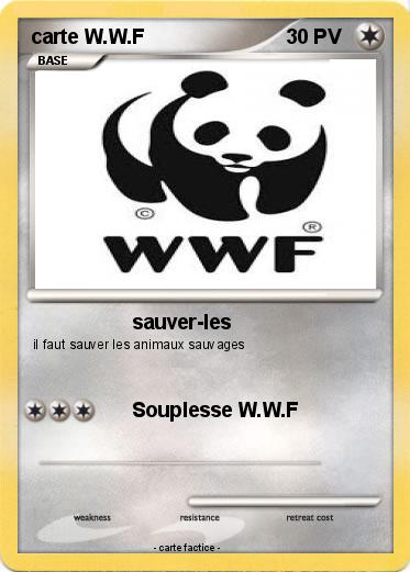 Pokemon carte W.W.F