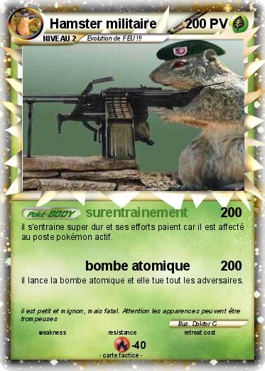 Pokemon Hamster militaire