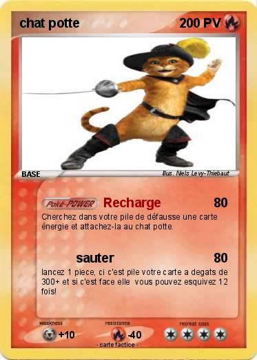 Pokemon chat potte