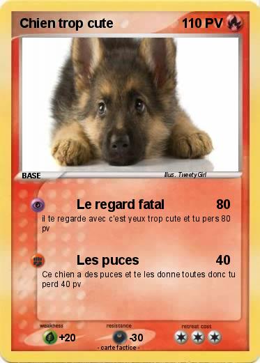 Pokemon Chien trop cute