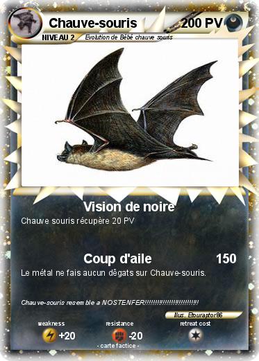 Pokemon Chauve-souris