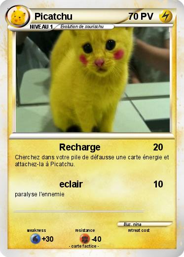 Pokemon Picatchu