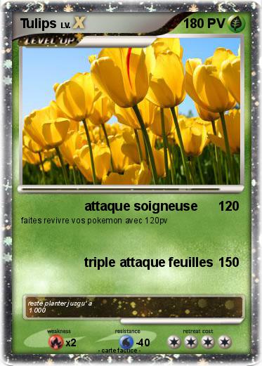 Pokemon Tulips
