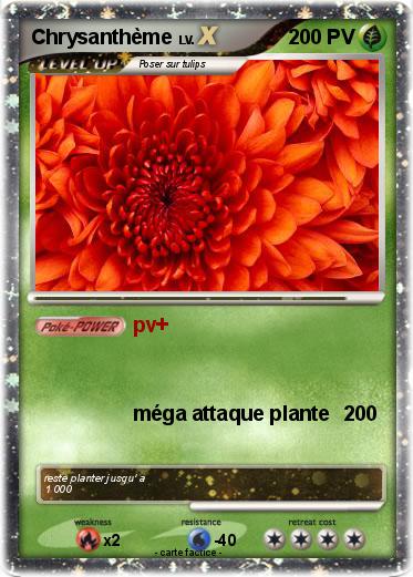 Pokemon Chrysanthème