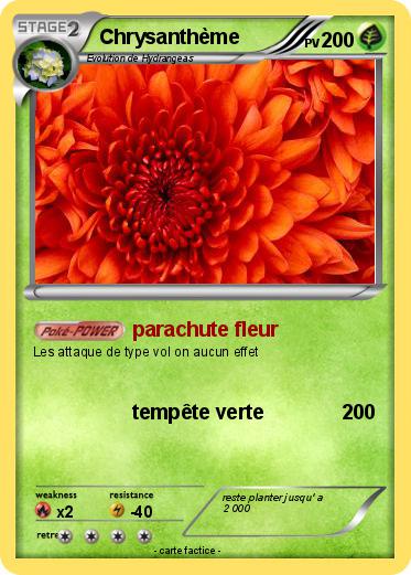Pokemon Chrysanthème