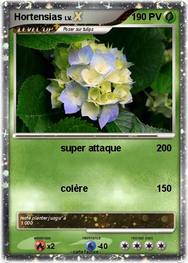 Pokemon Hortensias