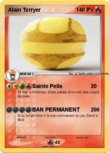Pokemon Alain Terryer