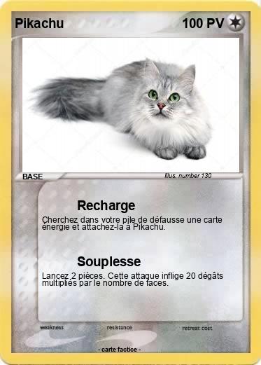 Pokemon 10000000000000000000