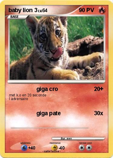 Pokemon baby lion 3