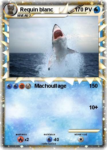 Pokemon Requin blanc