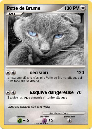 Pokemon Patte de Brume
