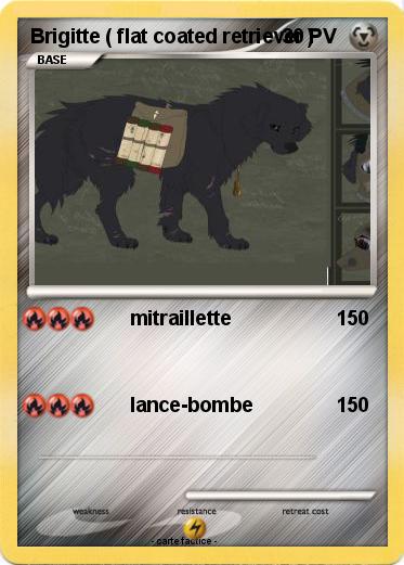 Pokemon Brigitte ( flat coated retriever )