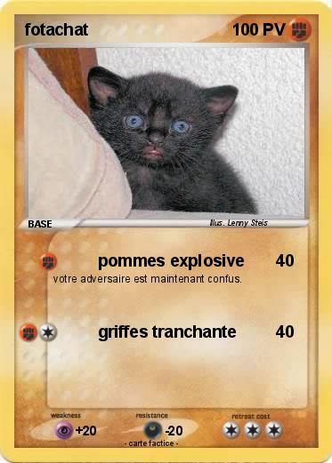 Pokemon fotachat