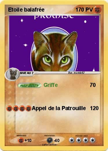 Pokemon Etoile balafrée