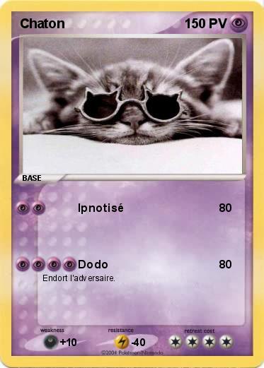 Pokemon Chaton