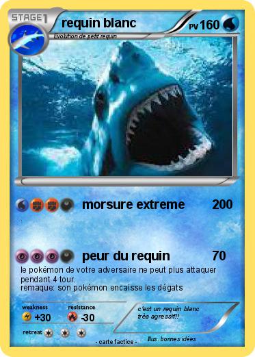 Pokemon requin blanc