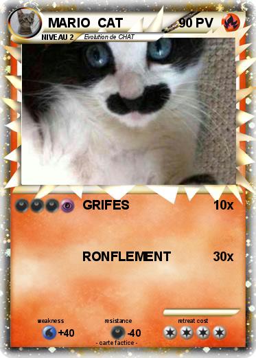 Pokemon MARIO  CAT