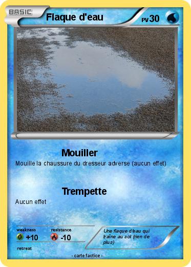 Pokemon Flaque d'eau