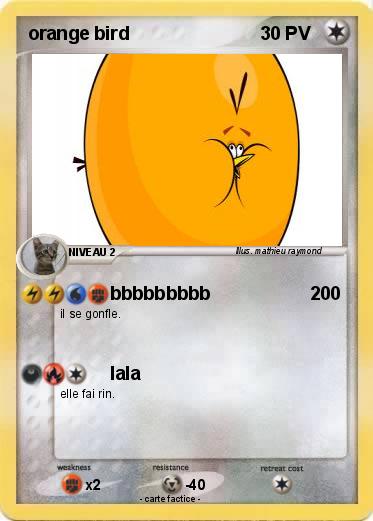 Pokemon orange bird