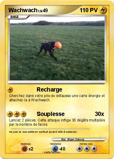 Pokemon Wachwach
