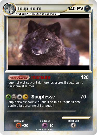 Pokemon loup noiro