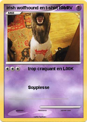 Pokemon irish wolfhound en t-shirt blanc