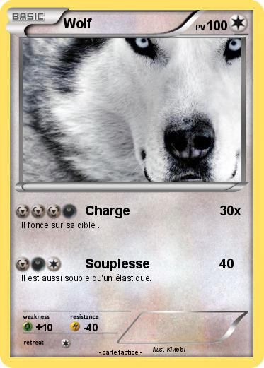 Pokemon Wolf